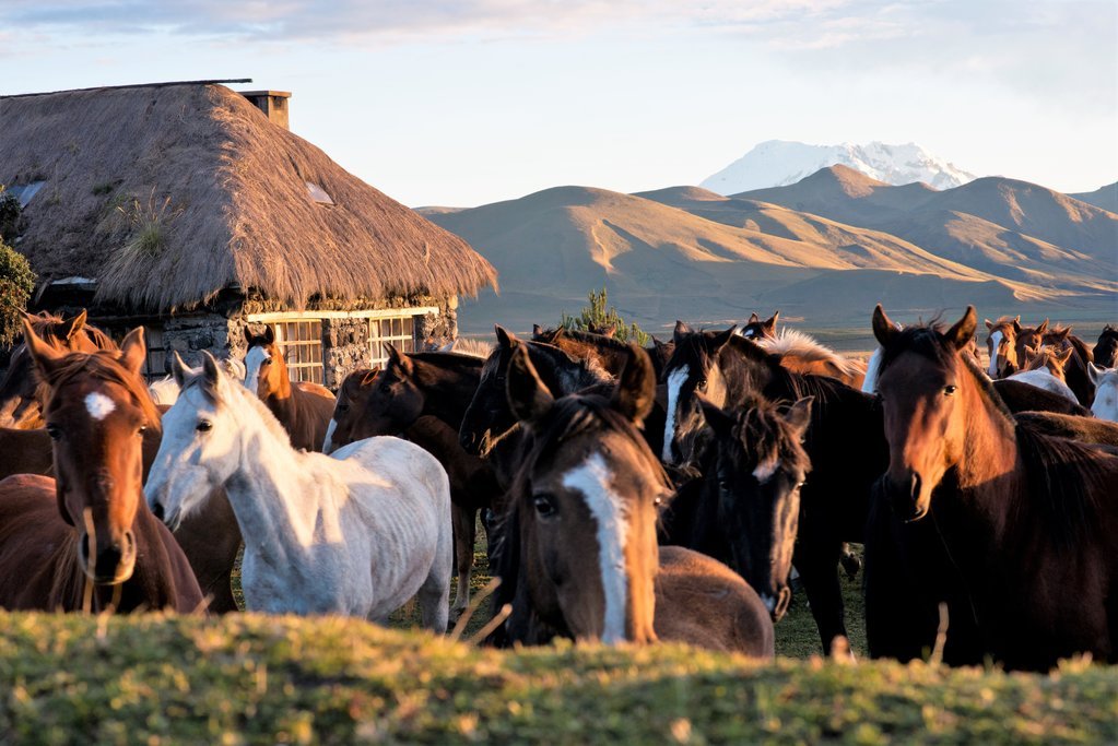https://overlandtraveltips.com/wp-content/uploads/2026/08/big-6839452a8b7e095b40c87c7bac582715.jpg
