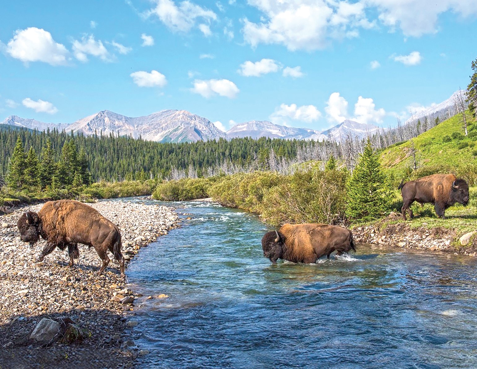 https://overlandtraveltips.com/wp-content/uploads/2026/08/bnp-credit-danrafla-parkscanada-mainpic_0.jpg