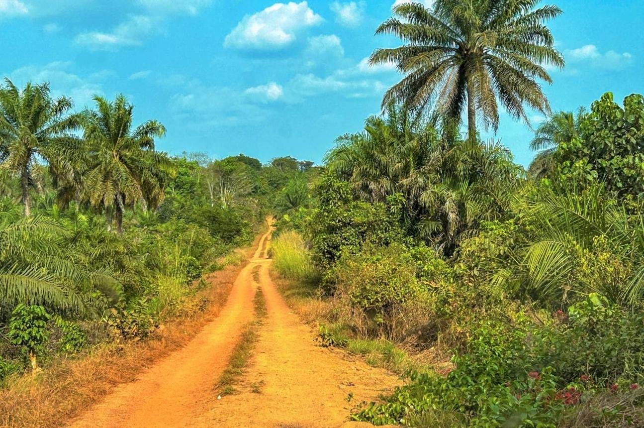 https://images.openai.com/static-rsc-4/8uRefOTBRTdsu-iKF5gQYQcDwrY37Km6crvoXQxzeB0fiHNWiSX2neHev-c5oyICF8lnEKay8d8OYetaslXXn_GM0SAQbD8MplSgBczRRmINBsFiIiclO-UCkesaexJWHenhbXmitAbI42KsmMJzhnQhF8uAz3EKnYFDXXgcy4HHMjz27x2sf73Pkpra8_H9?purpose=fullsize