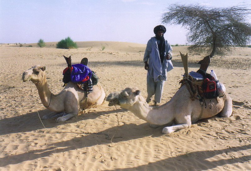 https://overlandtraveltips.com/wp-content/uploads/2026/08/camel_trekking_in_timbuktu8.jpg