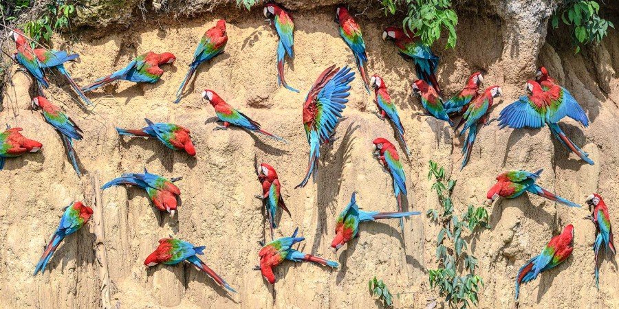 https://overlandtraveltips.com/wp-content/uploads/2026/08/cat_birdwatching_banner-narrow.jpg