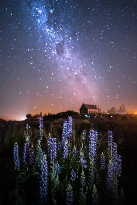 https://overlandtraveltips.com/wp-content/uploads/2026/08/church-good-shepherd-milky-way-lupins-blooming-19928249.jpg.webp