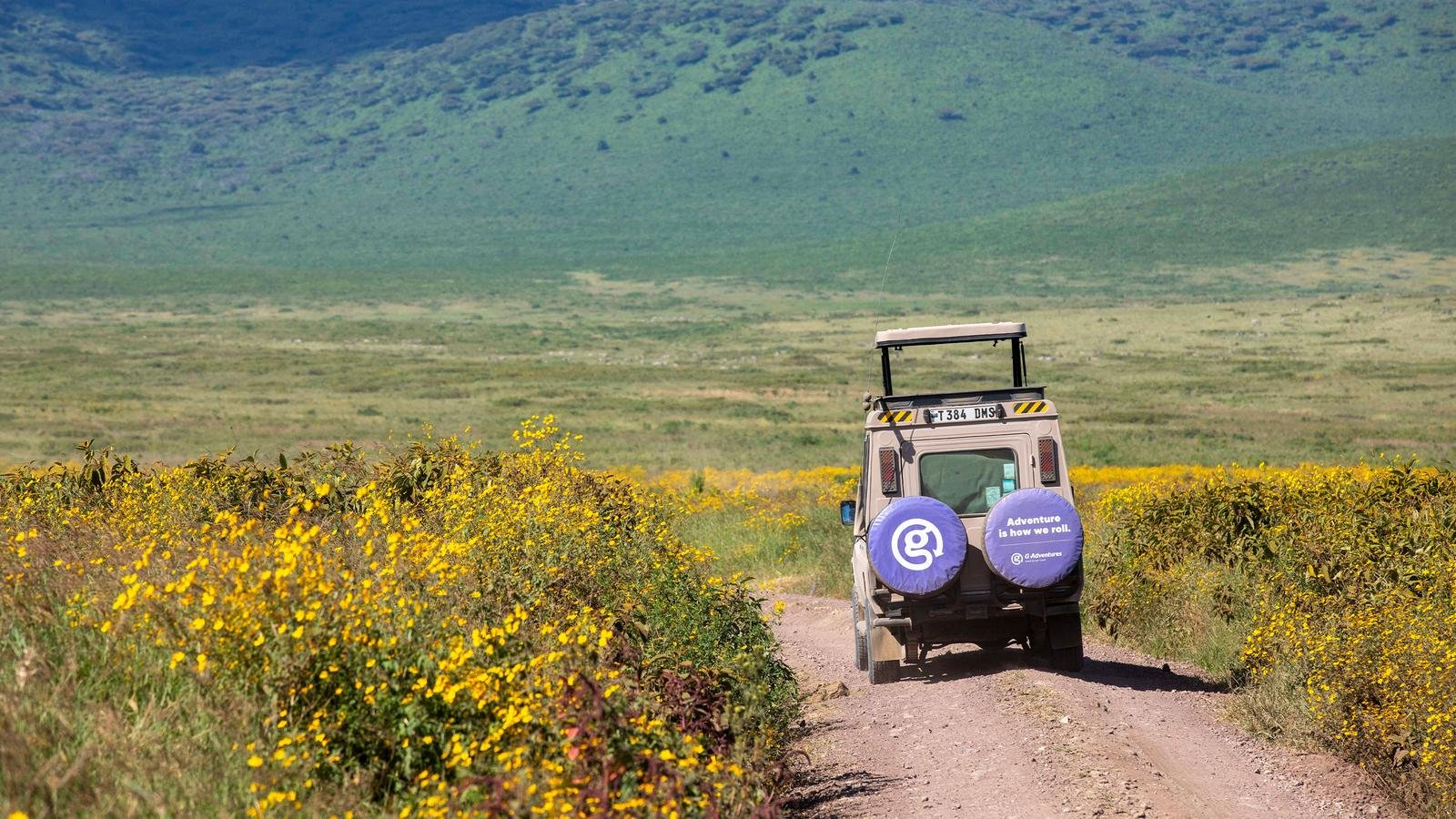 https://overlandtraveltips.com/wp-content/uploads/2026/08/d754135b438797c57758d49fd184b032.jpg
