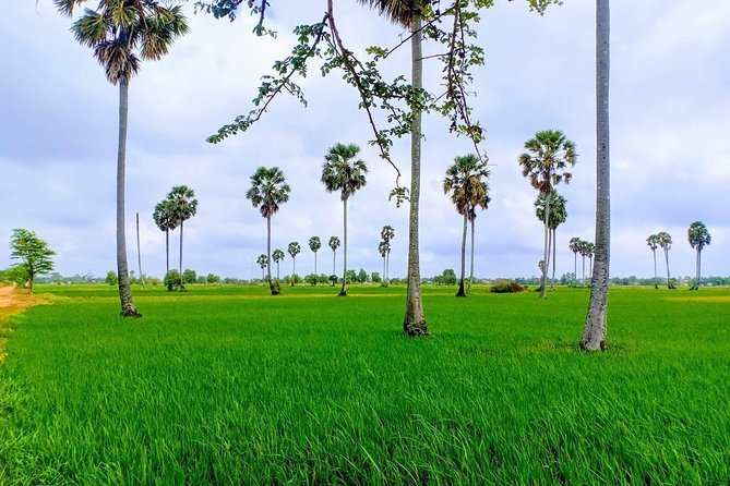 https://overlandtraveltips.com/wp-content/uploads/2026/08/da.jpg