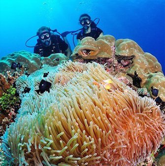 https://overlandtraveltips.com/wp-content/uploads/2026/08/diver1.jpg
