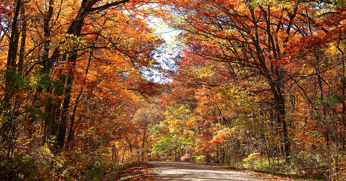 https://overlandtraveltips.com/wp-content/uploads/2026/08/driftless_sb_og_final.png