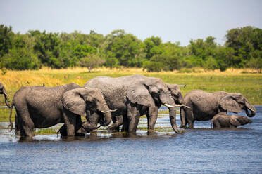 https://overlandtraveltips.com/wp-content/uploads/2026/08/herd-of-elephants-gathering-at-water-hole-moremi-game-reserve-botswana-MINF14868.jpg