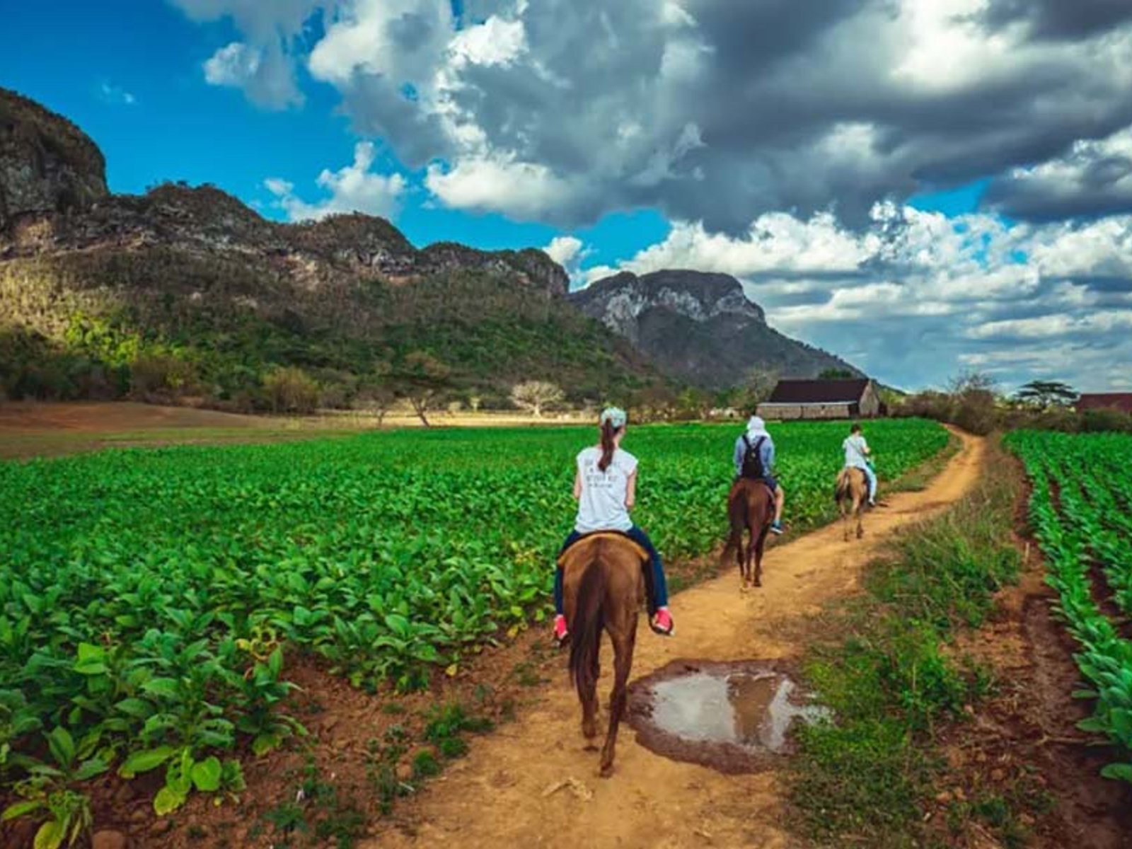 https://overlandtraveltips.com/wp-content/uploads/2026/08/horseback-riding-through-the-vinales-valley-tour-603.jpeg