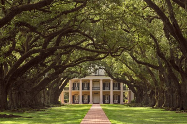 https://overlandtraveltips.com/wp-content/uploads/2026/08/id5980911-Oak-Alley-Official-Sexton-Image300g_large-1-600x400.jpg