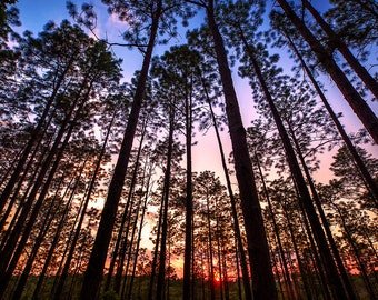 https://overlandtraveltips.com/wp-content/uploads/2026/08/il_340x270.2104152081_9ppj.jpg