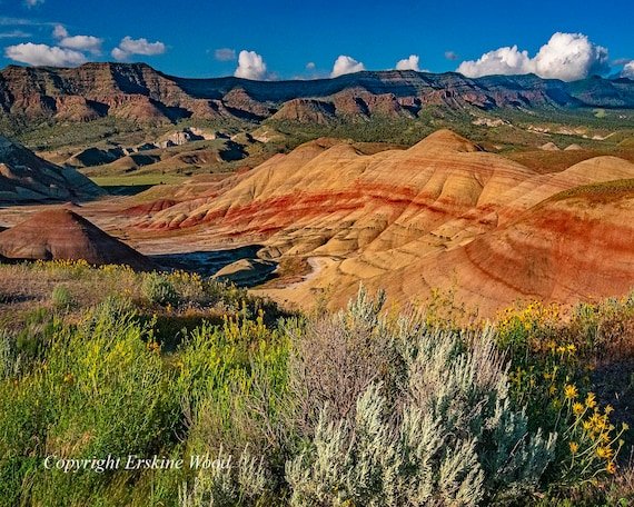 https://overlandtraveltips.com/wp-content/uploads/2026/08/il_570xN.2978089507_1l8f.jpg