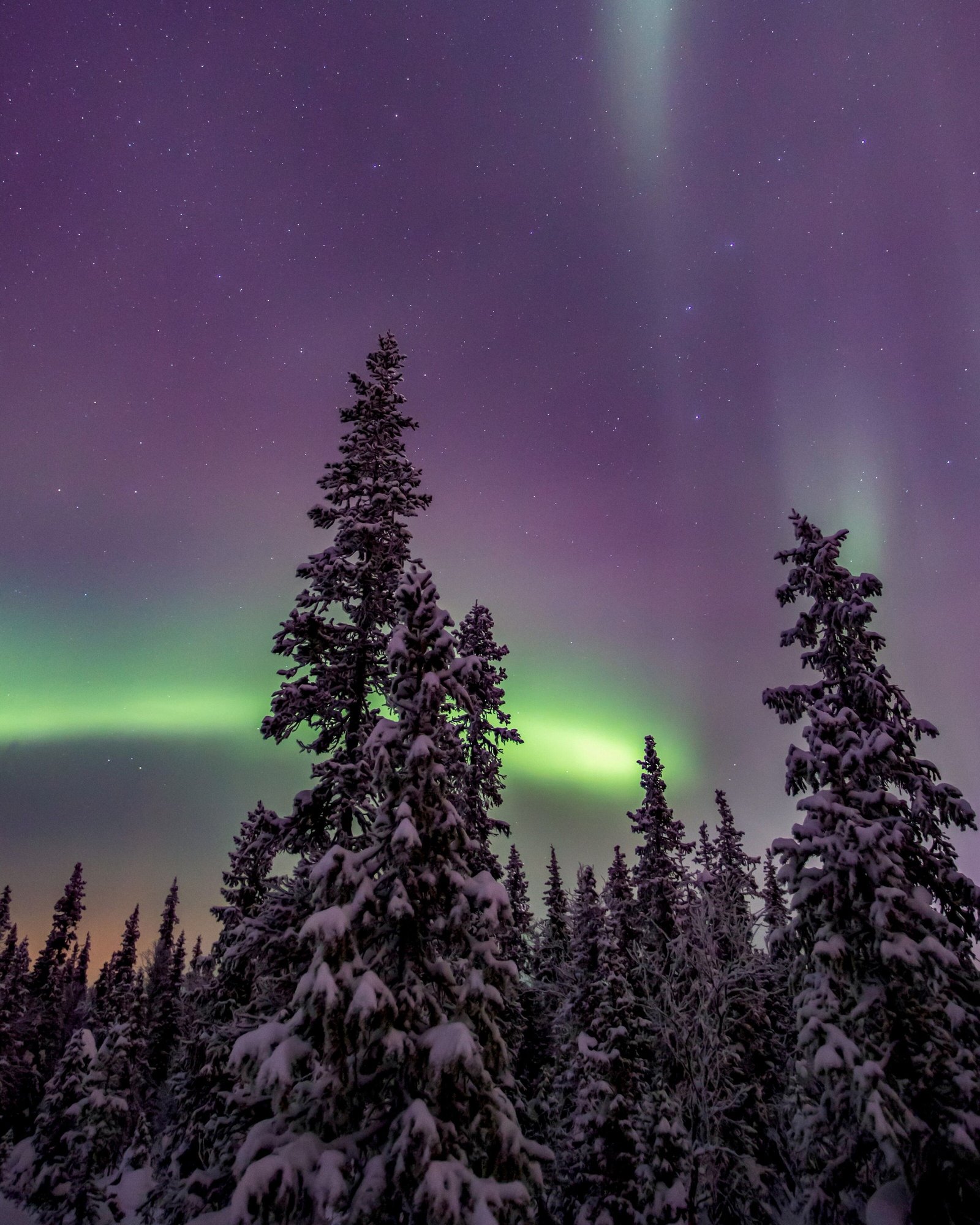 https://overlandtraveltips.com/wp-content/uploads/2026/08/ing1.jpeg