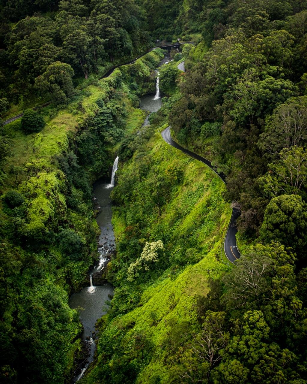 https://images.openai.com/static-rsc-3/bZQD8JaS2p7I0SwxJqXGIdnC-yaAsjyzvXwyxN6h0orlibaTyKnJdw_i1wh2aDsDSwFwq4lOQDw-IuvVCOS6uO7opPhKOQYOaJqIO4_38FQ?purpose=fullsize&v=1