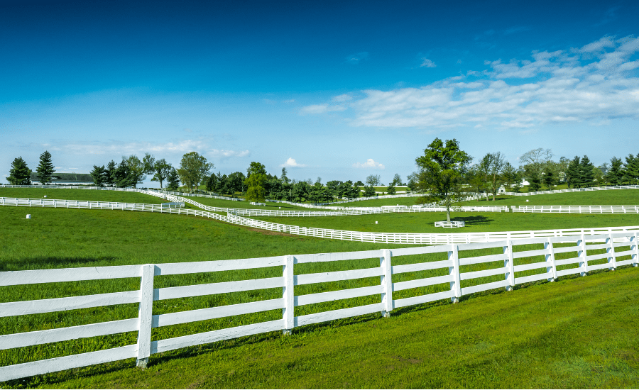 https://overlandtraveltips.com/wp-content/uploads/2026/08/kentucky-horse-farm-fence-min.png
