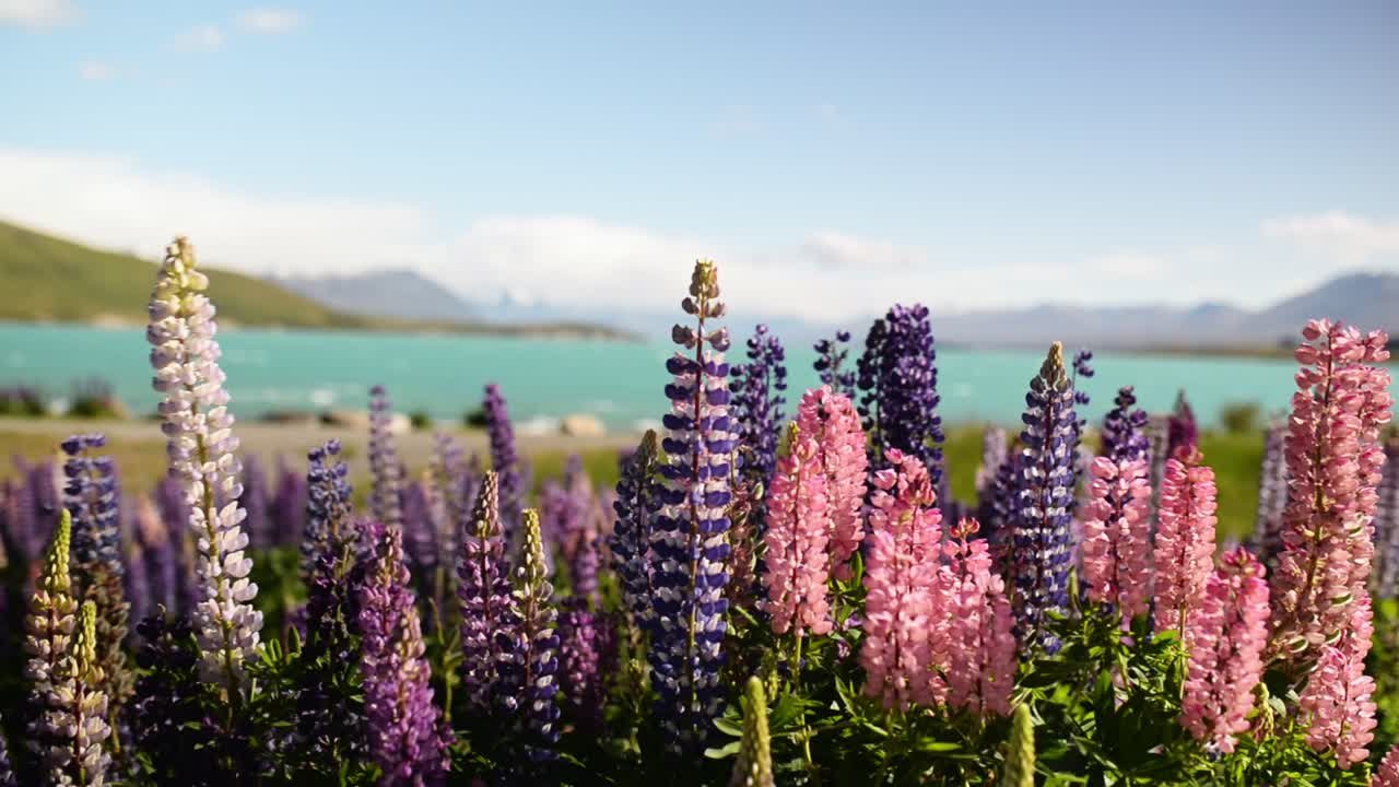 https://overlandtraveltips.com/wp-content/uploads/2026/08/large.jpg