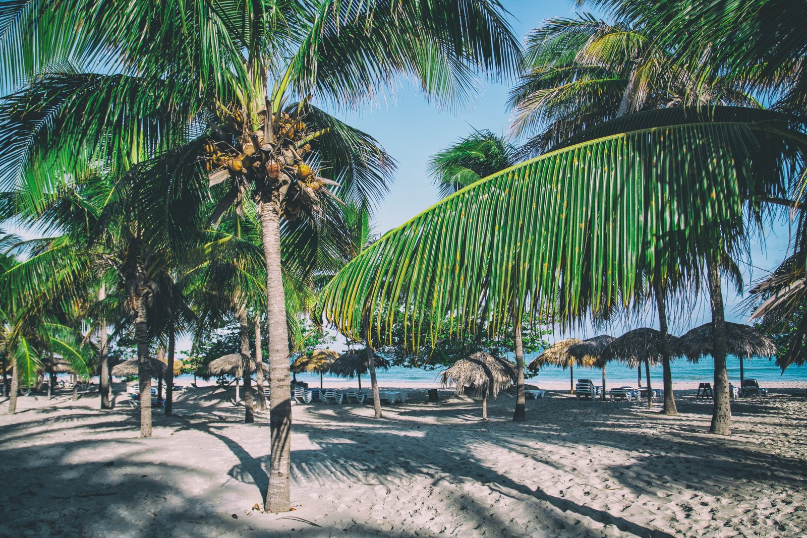 https://overlandtraveltips.com/wp-content/uploads/2026/08/nature-beach-coast-cuba-022a4aedc78e8009106bc74a47447e8a.jpg