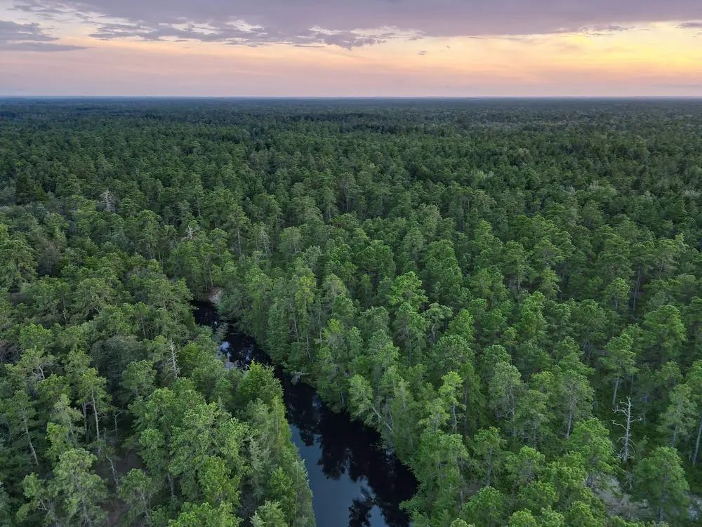 https://overlandtraveltips.com/wp-content/uploads/2026/08/new_jersey_pinelands_national_reserve_og_image.jpg