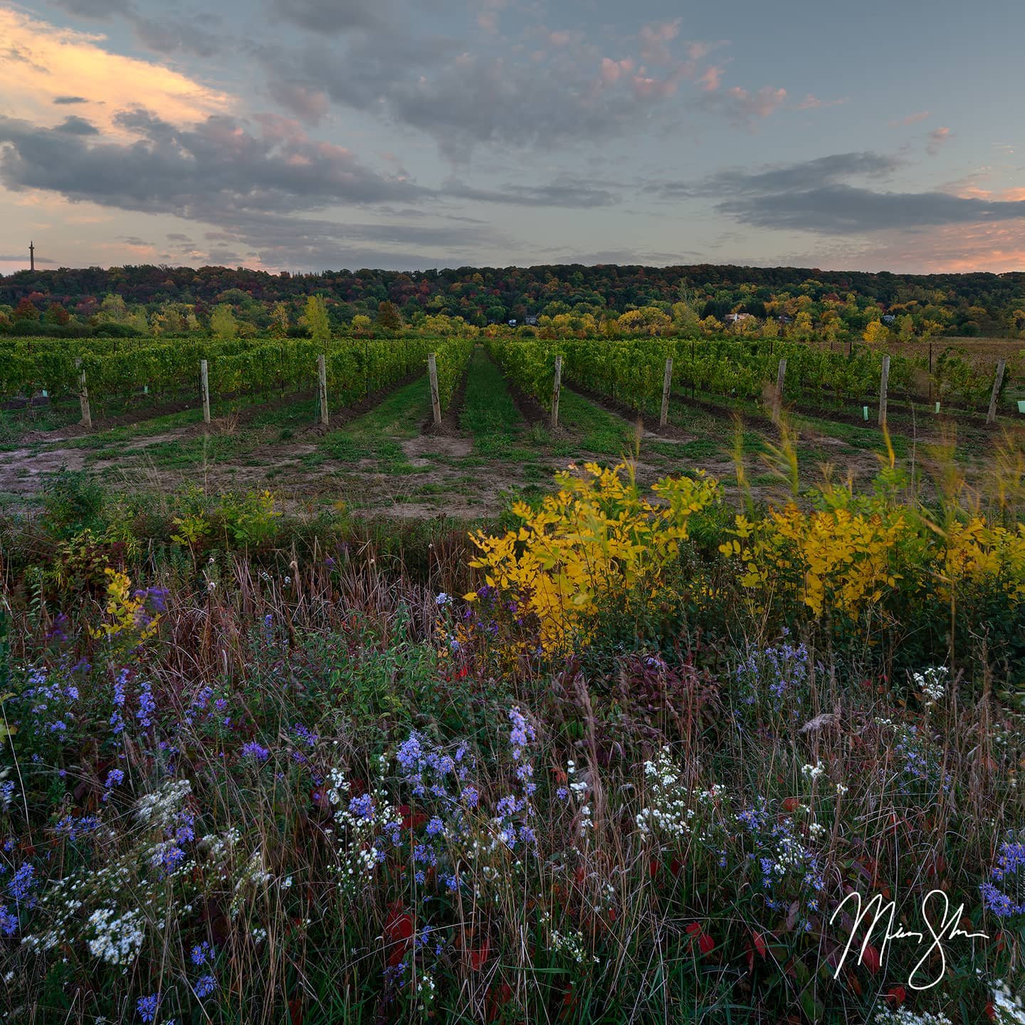 https://overlandtraveltips.com/wp-content/uploads/2026/08/niagara-vineyard-sunset.jpg