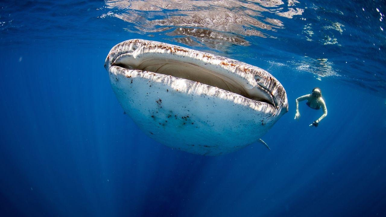 https://images.openai.com/static-rsc-4/F8EZAIUvM25_cZKd52tDPLMpVkV2SaG1T59homKHatKYZfD0Ib4gVxYnh4UyIORver-W-7bf9cInwSFDzQZnlTooY8T1AQ1_8bcVz6WOmwc7v5441LSSX3O5Z9qZ8MaCvKTFilVJ_LNILXQZLqYESsYWwHvnJ47Xg4DotDJsEjphpjuZ-s9QiEUARx6lvKqC?purpose=fullsize