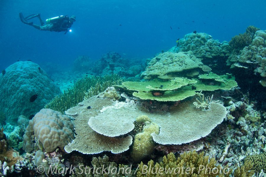 https://overlandtraveltips.com/wp-content/uploads/2026/08/papua-new-guinea-trip-201920.jpg