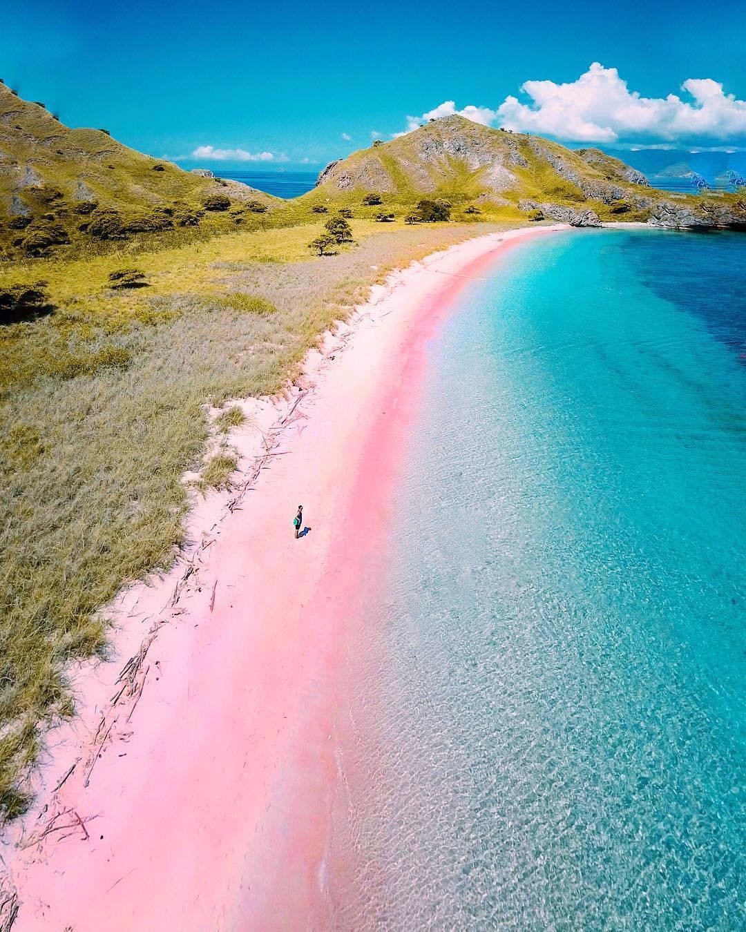 https://overlandtraveltips.com/wp-content/uploads/2026/08/pink-beach-komodo-island_07012021005954584dc5f0b0968ff73814f18ad664dfac.jpg