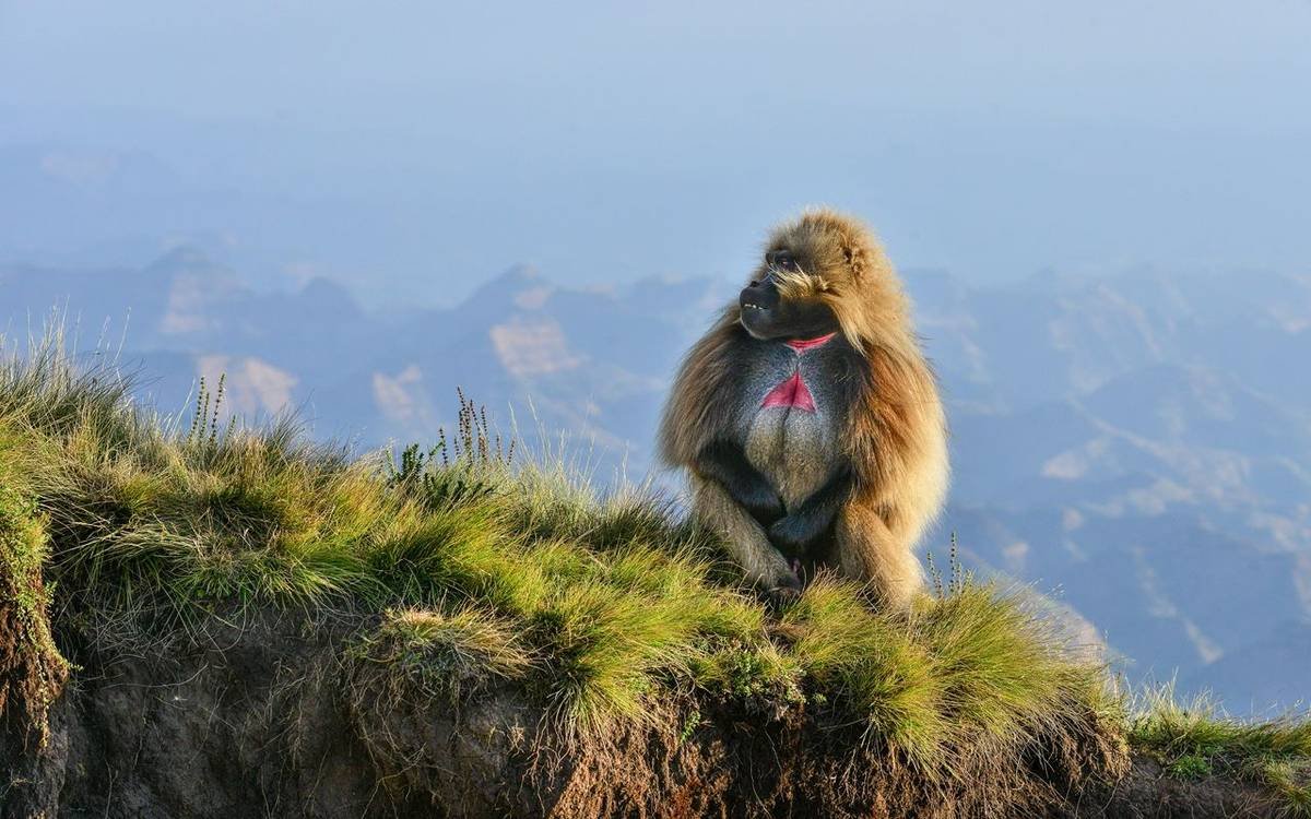 https://overlandtraveltips.com/wp-content/uploads/2026/08/q3A70.jpg