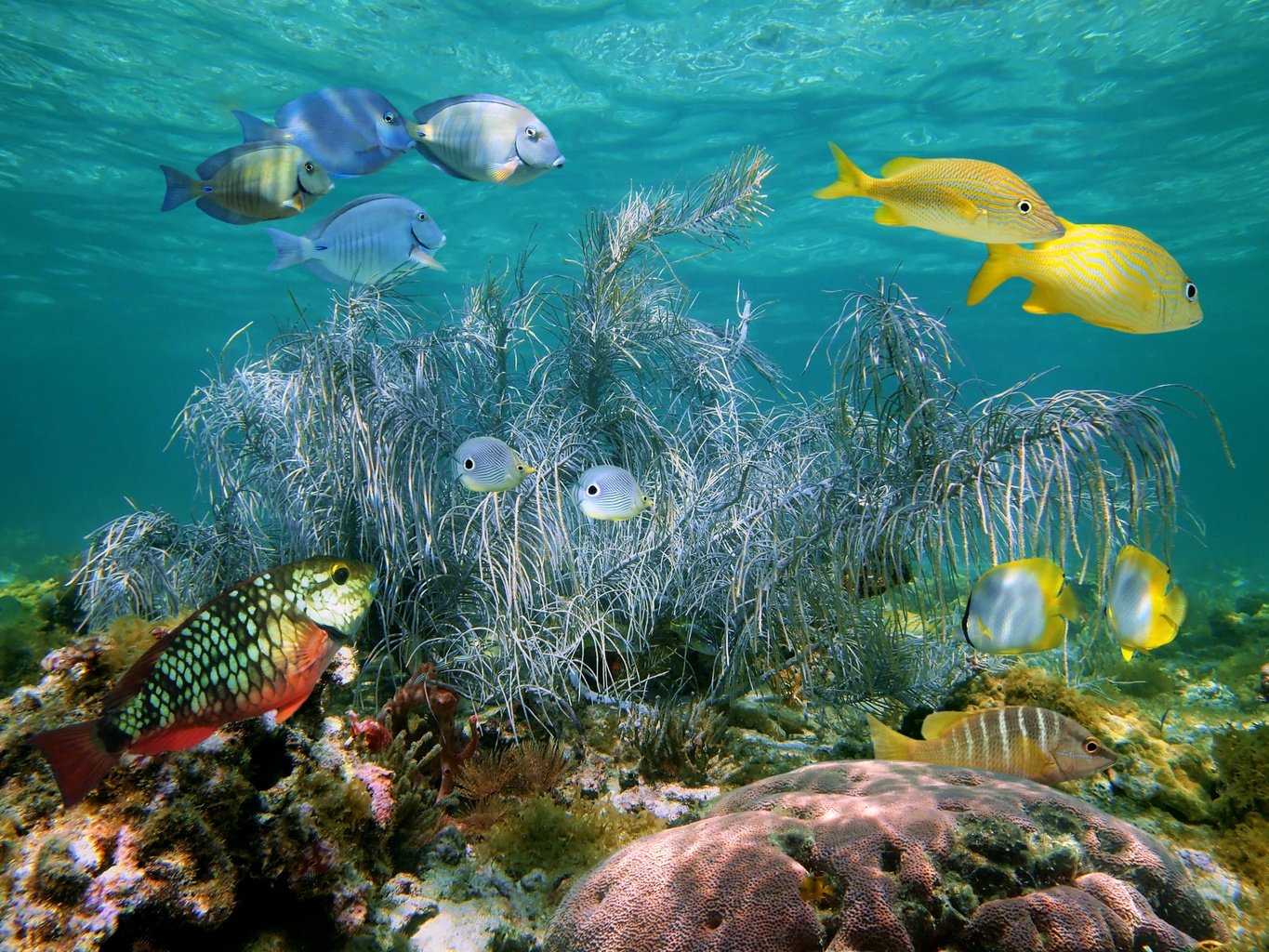 https://overlandtraveltips.com/wp-content/uploads/2026/08/shutterstock_94919542.2048x1024.jpg