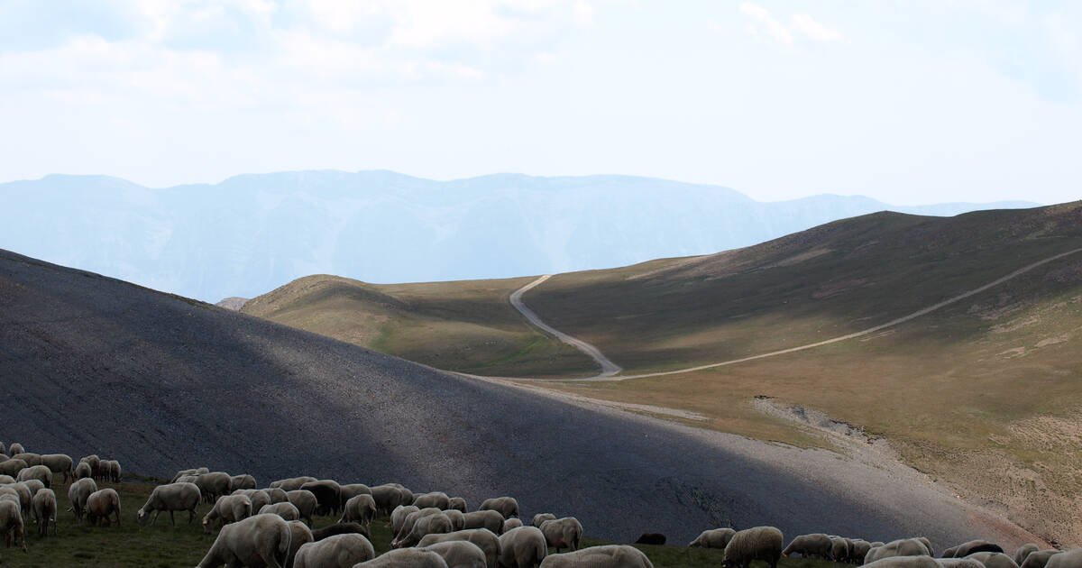 https://overlandtraveltips.com/wp-content/uploads/2026/08/site_1160_0016-1200-630-20140822171056.jpg
