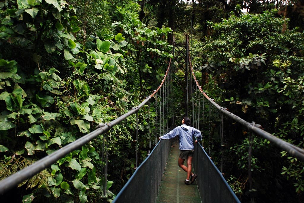 https://overlandtraveltips.com/wp-content/uploads/2026/08/sky-walk-suspension-bridges-A-1.jpg
