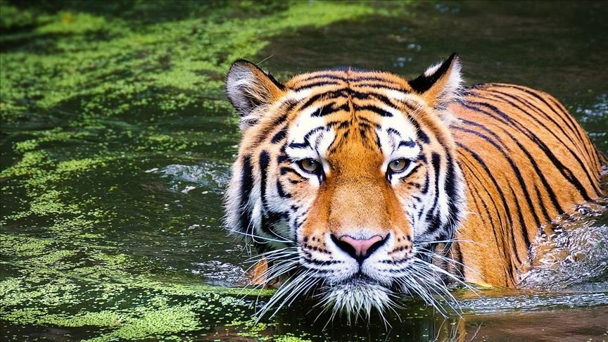 https://overlandtraveltips.com/wp-content/uploads/2026/08/thumbs_b_c_bbe3392660c2f71e39e0a8732b022496.jpg