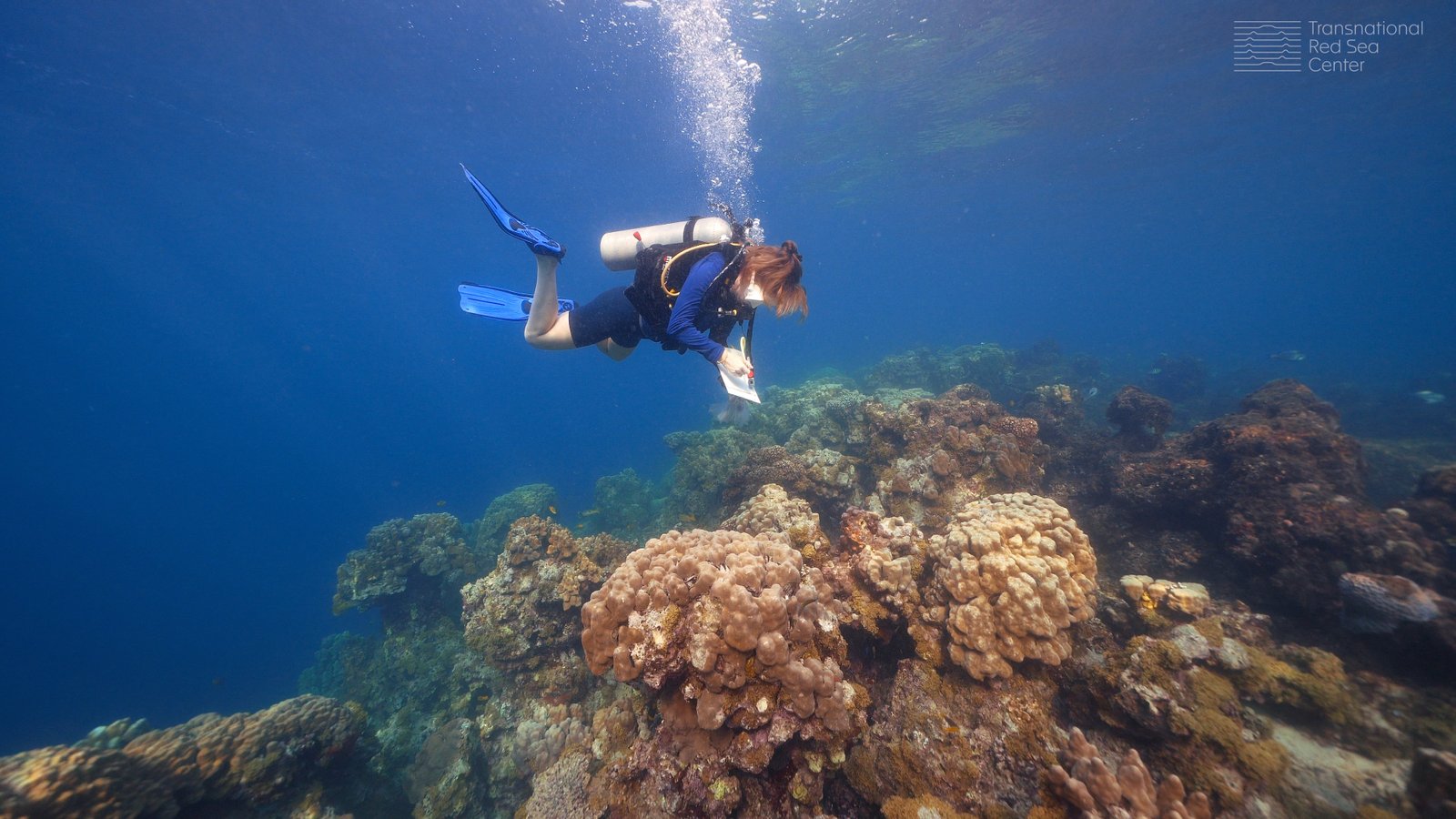 https://overlandtraveltips.com/wp-content/uploads/2026/08/trsc_djibouti_wm-8_gbp.jpg__3840.0x2160.0_q85_crop_subsampling-2_upscale.jpg