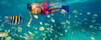 https://ik.imagekit.io/inxxxtow4nf/Belize/tr%3Aw-1536/snorkelling_1000_vCXvXBSZEa.jpg