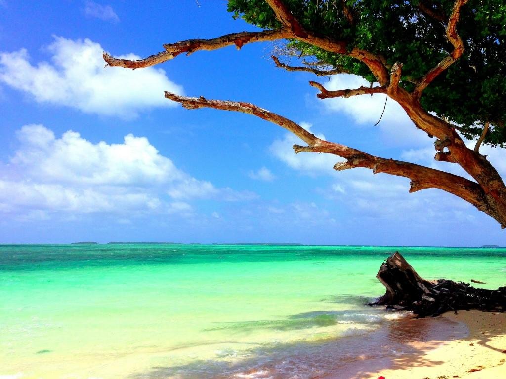https://images.openai.com/static-rsc-4/WAyWT8442zNbks57fJiXAv11-P5fbq8ffUU_A5h4D1y66AQC35aM9CfTI1fy0GW7AyD8JrfxLHHU5fVzIDT_pghxdCSD9QXHlunmX8iQjadbIPZTrI0rIayN64AUA_h4fD5JPEiWDmtrOlAD78XTzUG4mrIQgkMV89fFO6bH7P9HiM_LYLtfaWo_-gRZvcTD?purpose=fullsize
