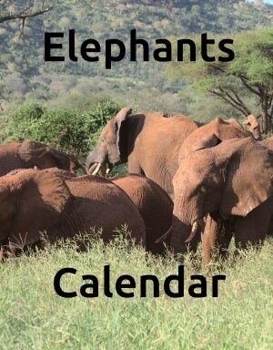 Elephants Wall Calendar 2027