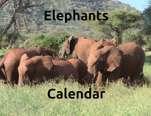 aHR0cHM6Ly9hc3NldHMubHVsdS5jb20vY292ZXJfdGh1bWJzL24vdi9udjU2Zzc0LWZyb250LXNob3J0ZWRnZS0zODQuanBn Elephants Wall Calendar 2027